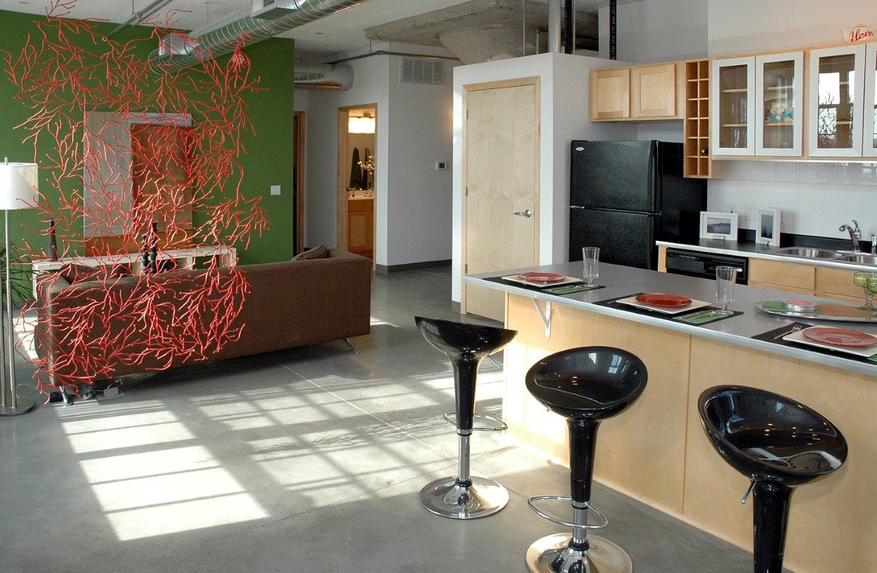 Affordable Housing - Carleton Artist Lofts Image 9