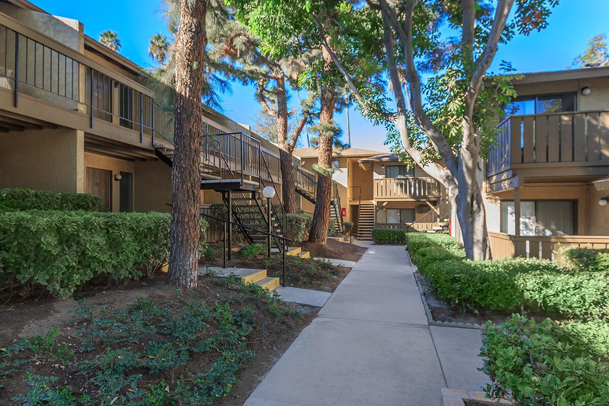 Barcelona, Palm Lane & Seville Apartment Homes Image 18