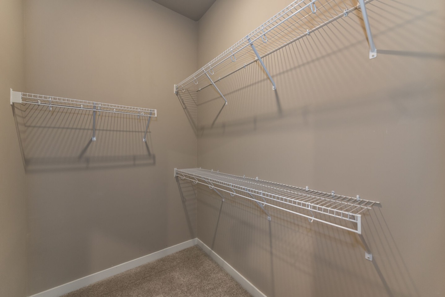 Acclaim at Cary Pointe - 62+ Active Adult Image 14