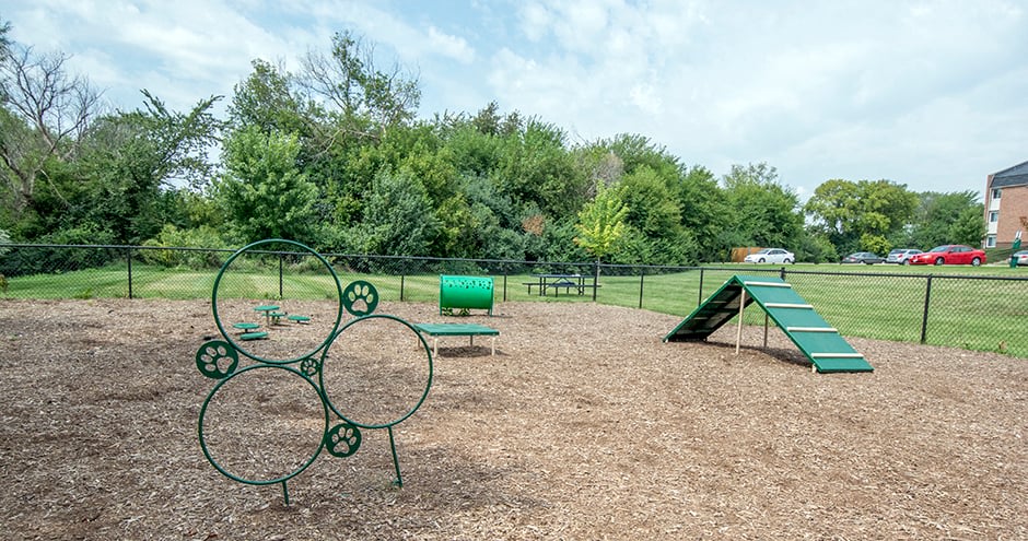 Prentiss Creek at Downers Grove Image 13