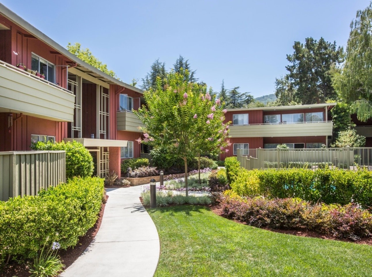 Bay Tree Image 46