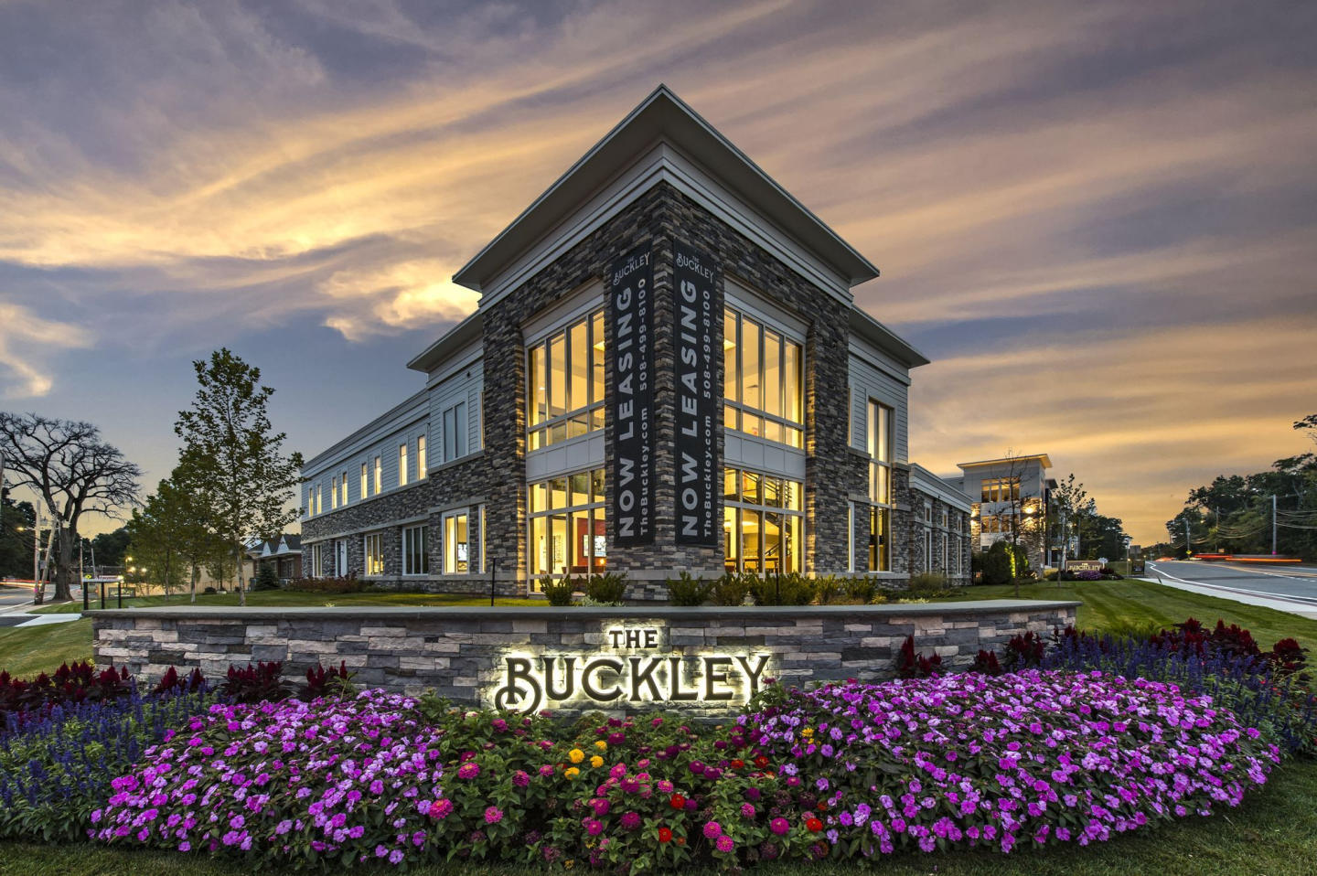 The Buckley Image 16