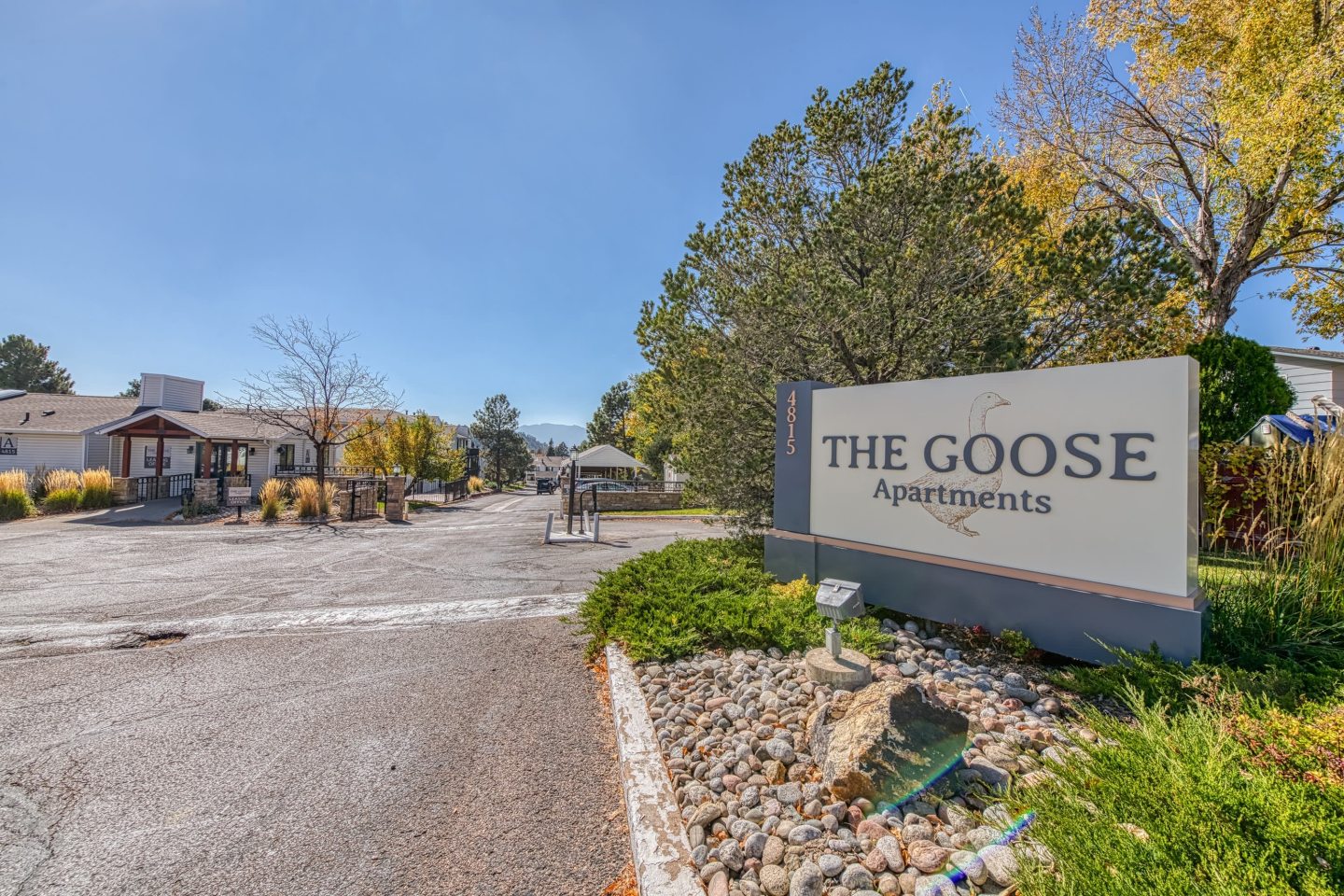 The Goose Image 8