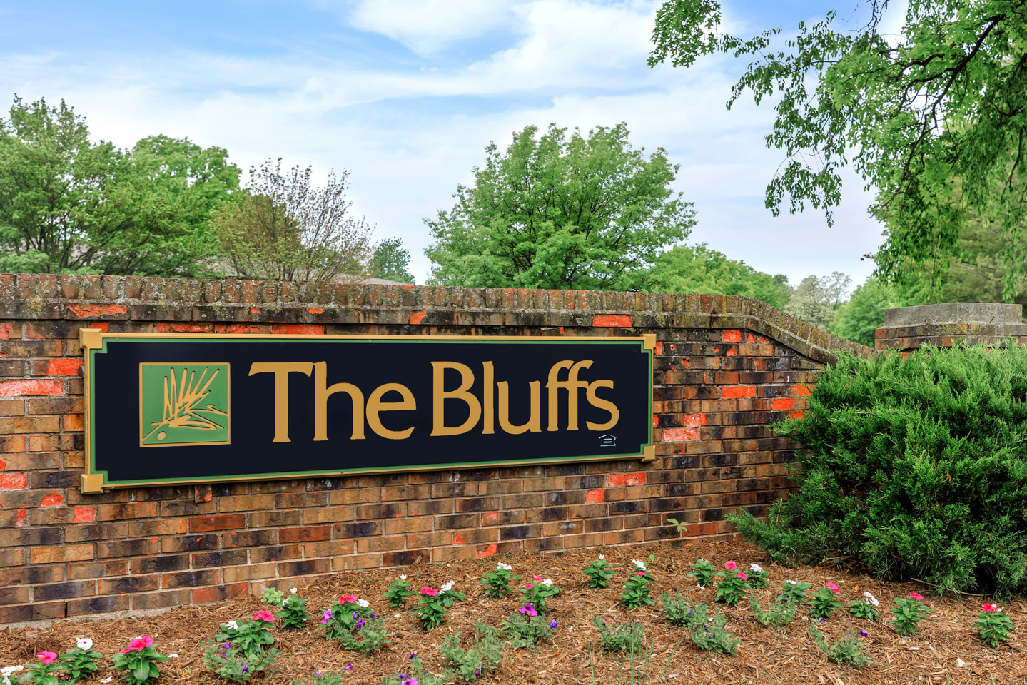 The Bluffs Apartments Image 44