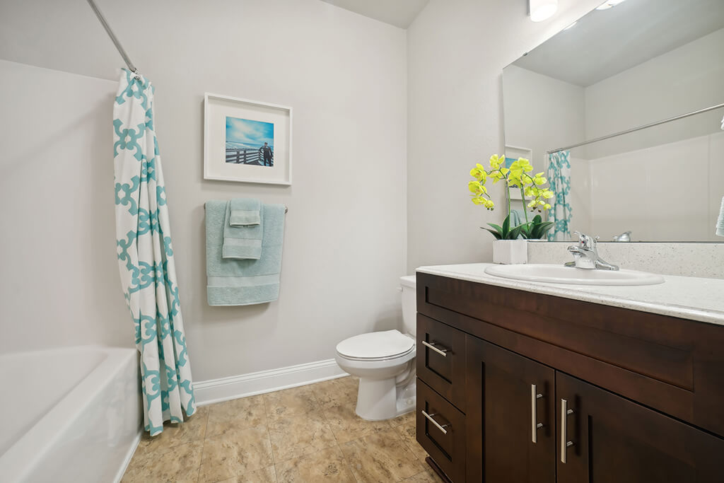 The Apartments at Shade Tree Image 22