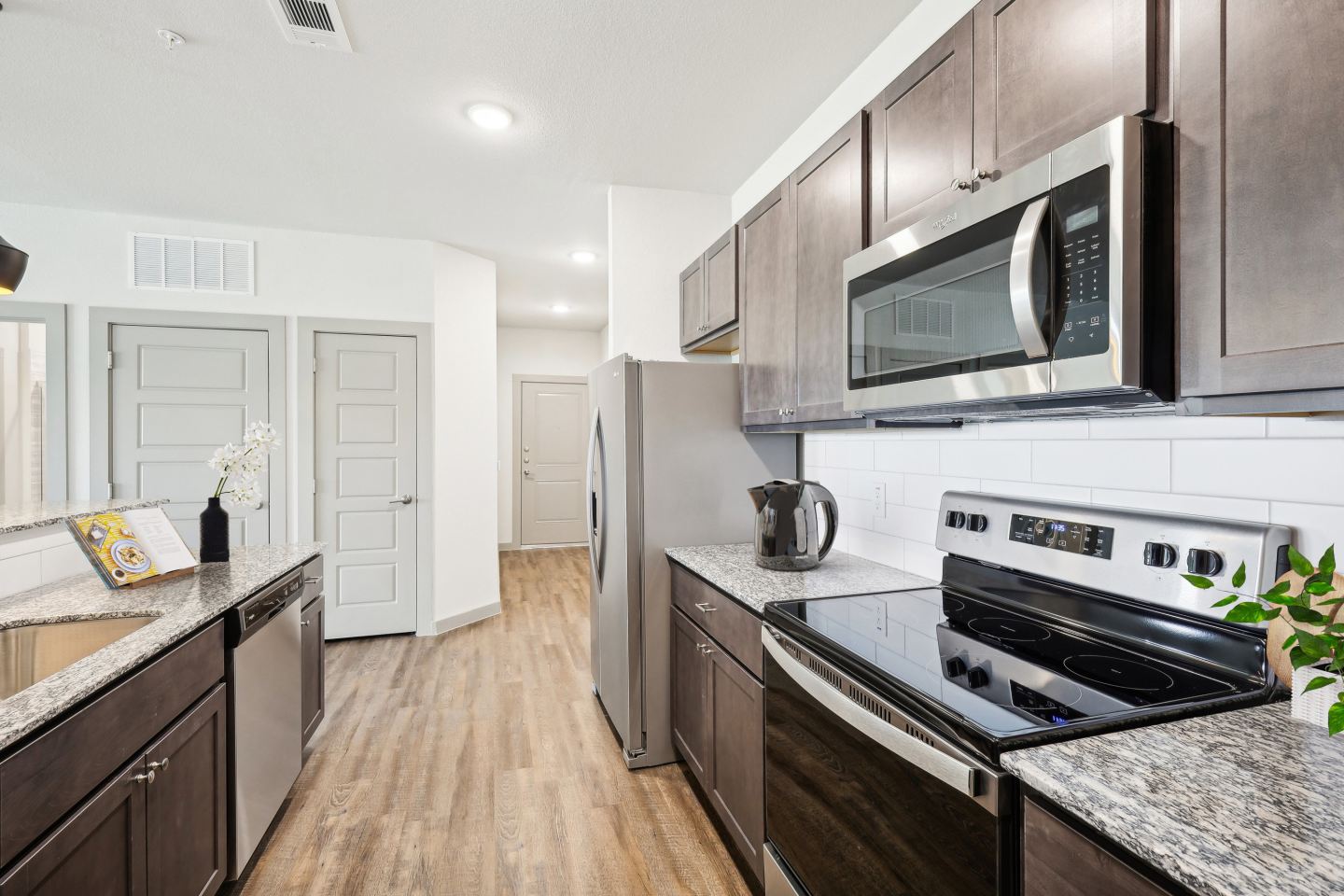 Live Oak Image 7