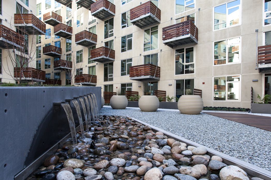 Rincon Green Image 12