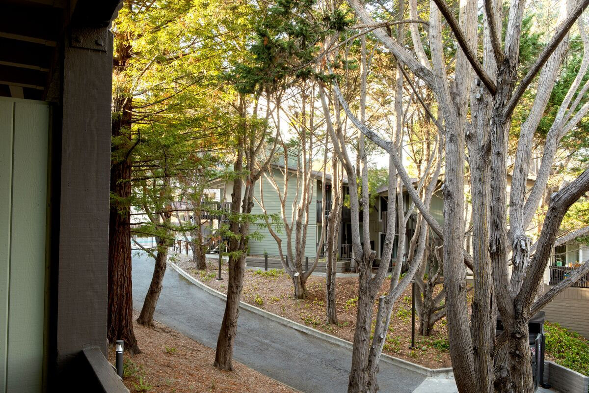 Crystal Springs Terrace Image 7
