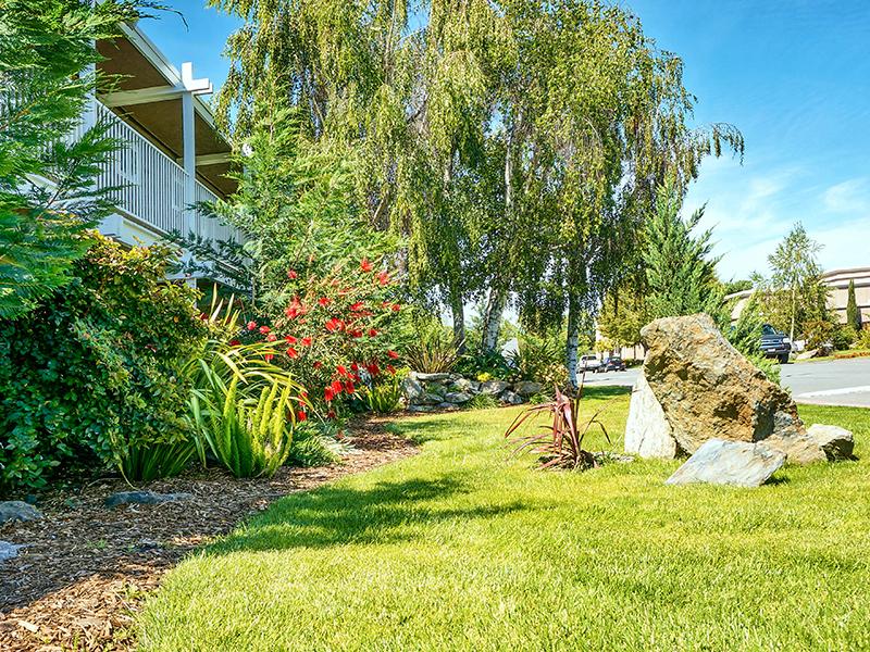Sun Valley Apartment Homes Image 31