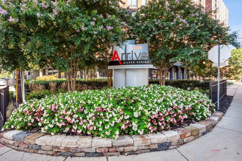 Arrive Silver Spring Image 26