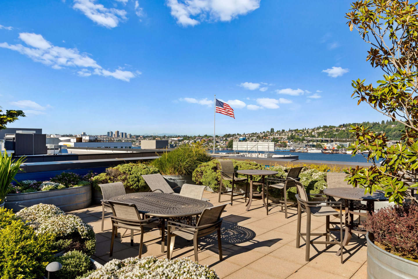 Dexter Lake Union Image 44
