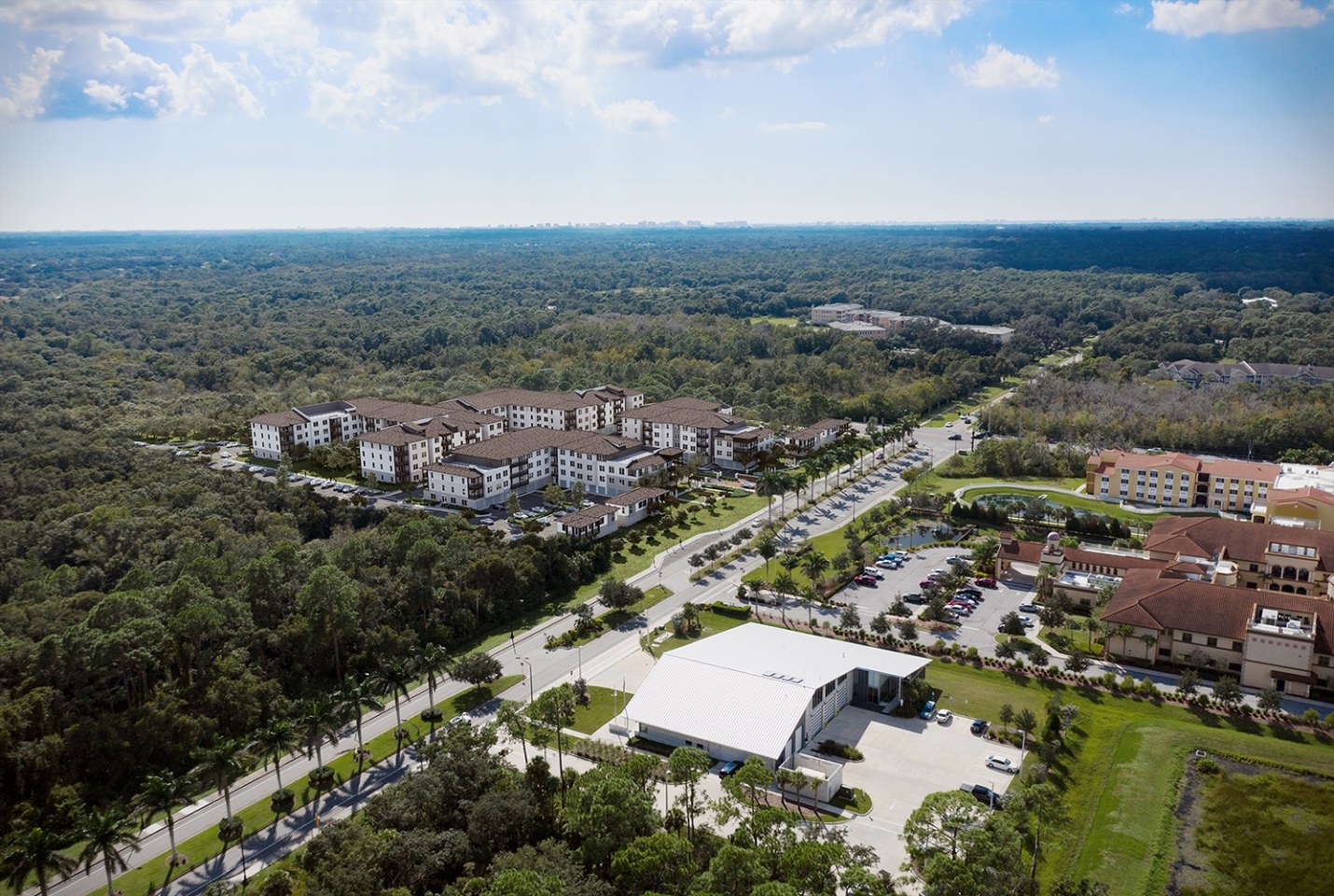 Solaire Image 8
