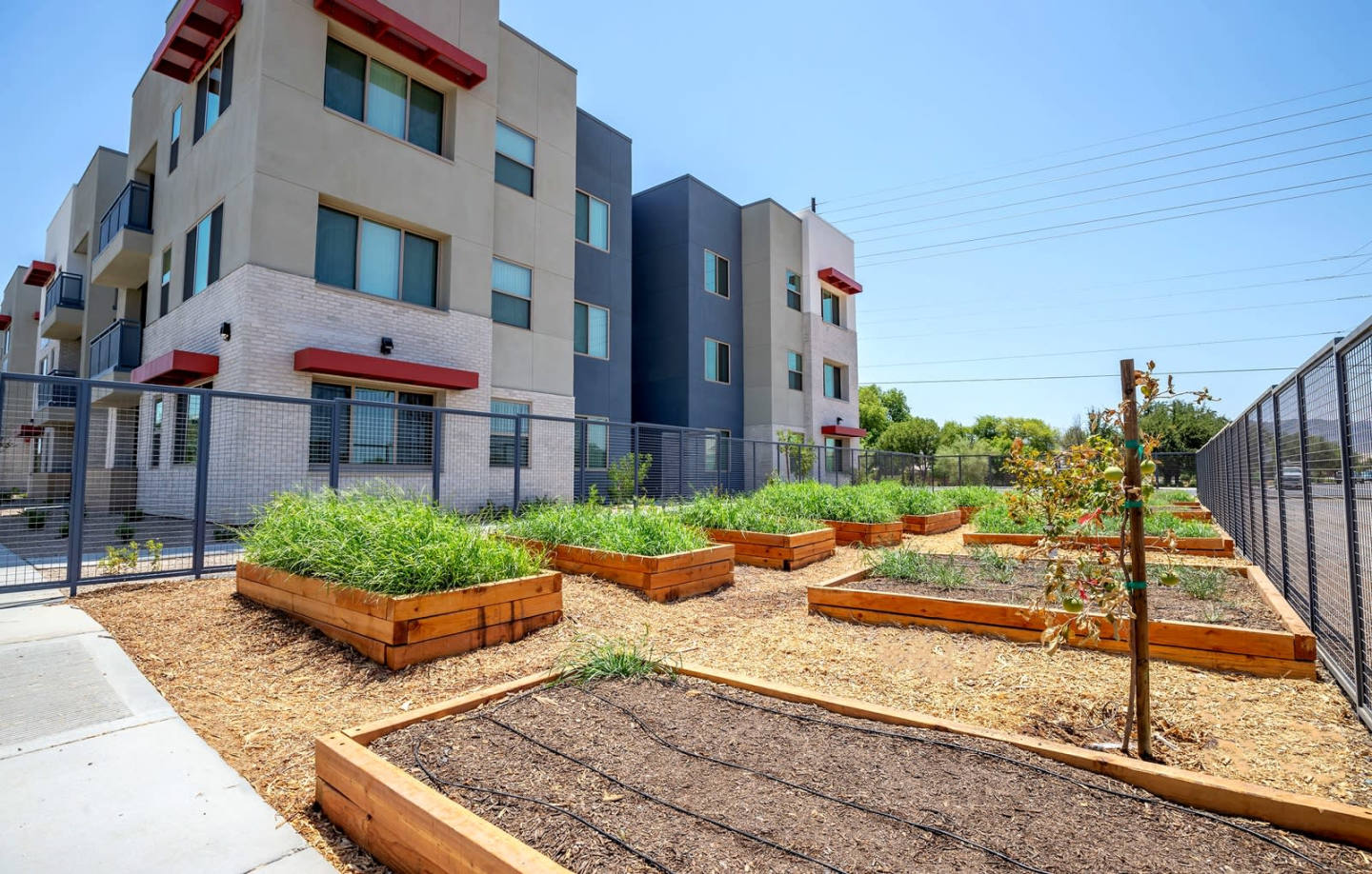 Vista Ridge Apartments-Affordable Housing Image 8