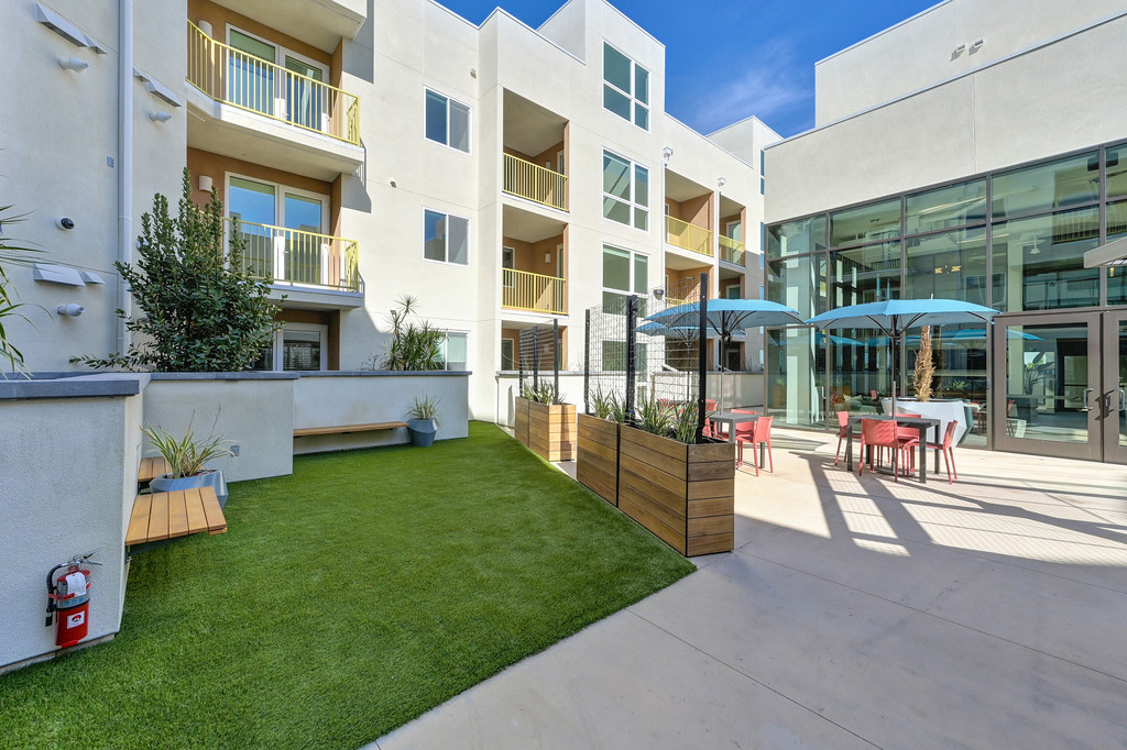 Begonia Place Image 19