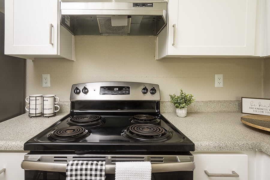 Americana Apartments Image 6