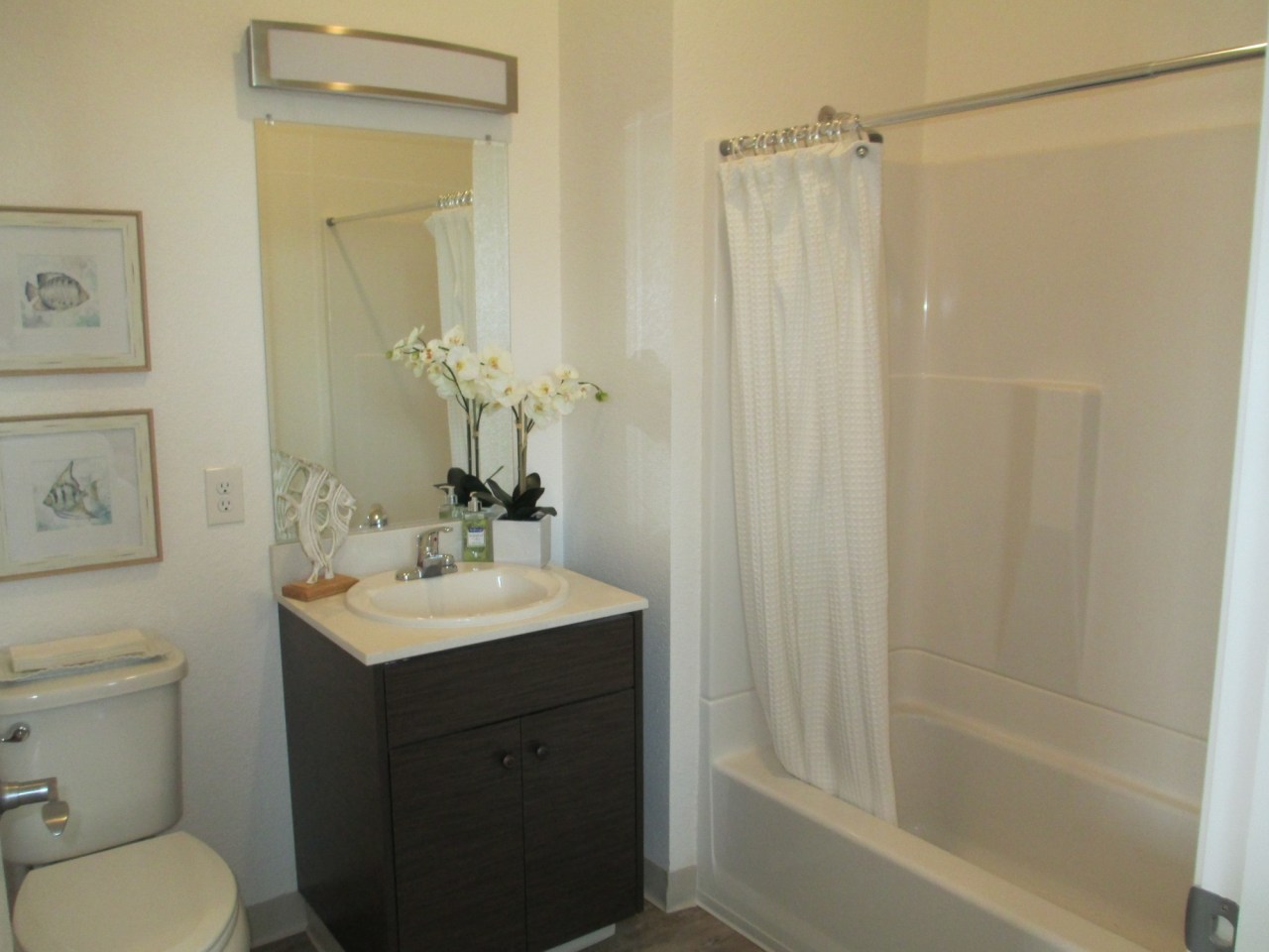 Medici Artist Lofts Image 7