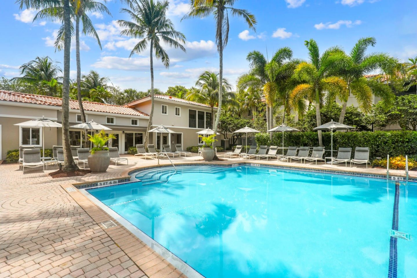 Coconut Palm Club Image 4