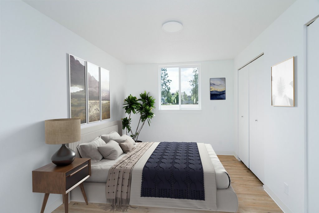 White Pine Image 7
