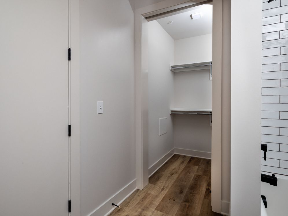 Avalon Hawk Image 11