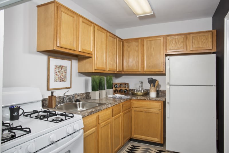 Queenstown Apartments Image 5