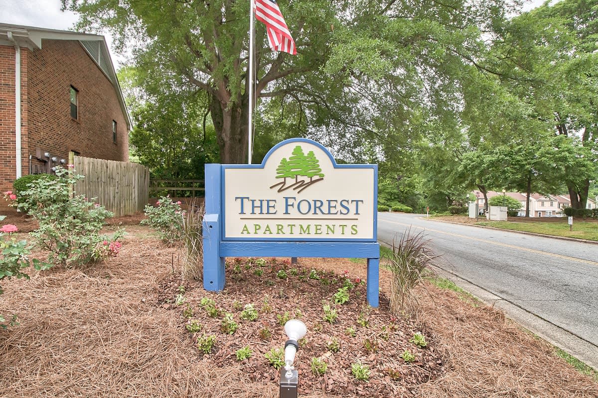 The Forest Image 21