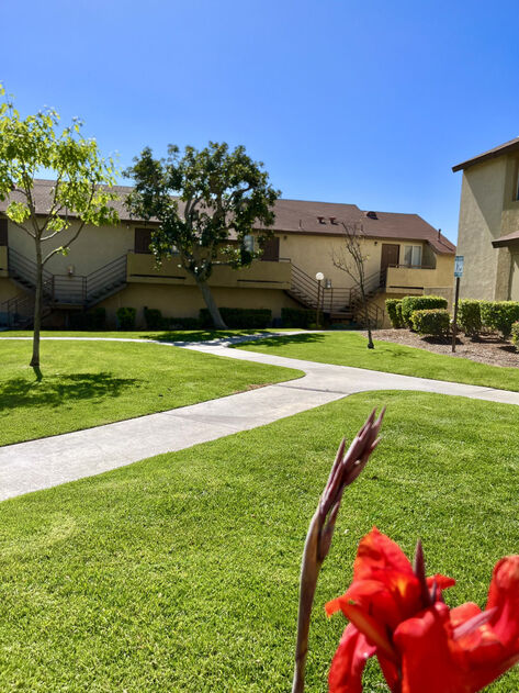 Peppertree Image 14