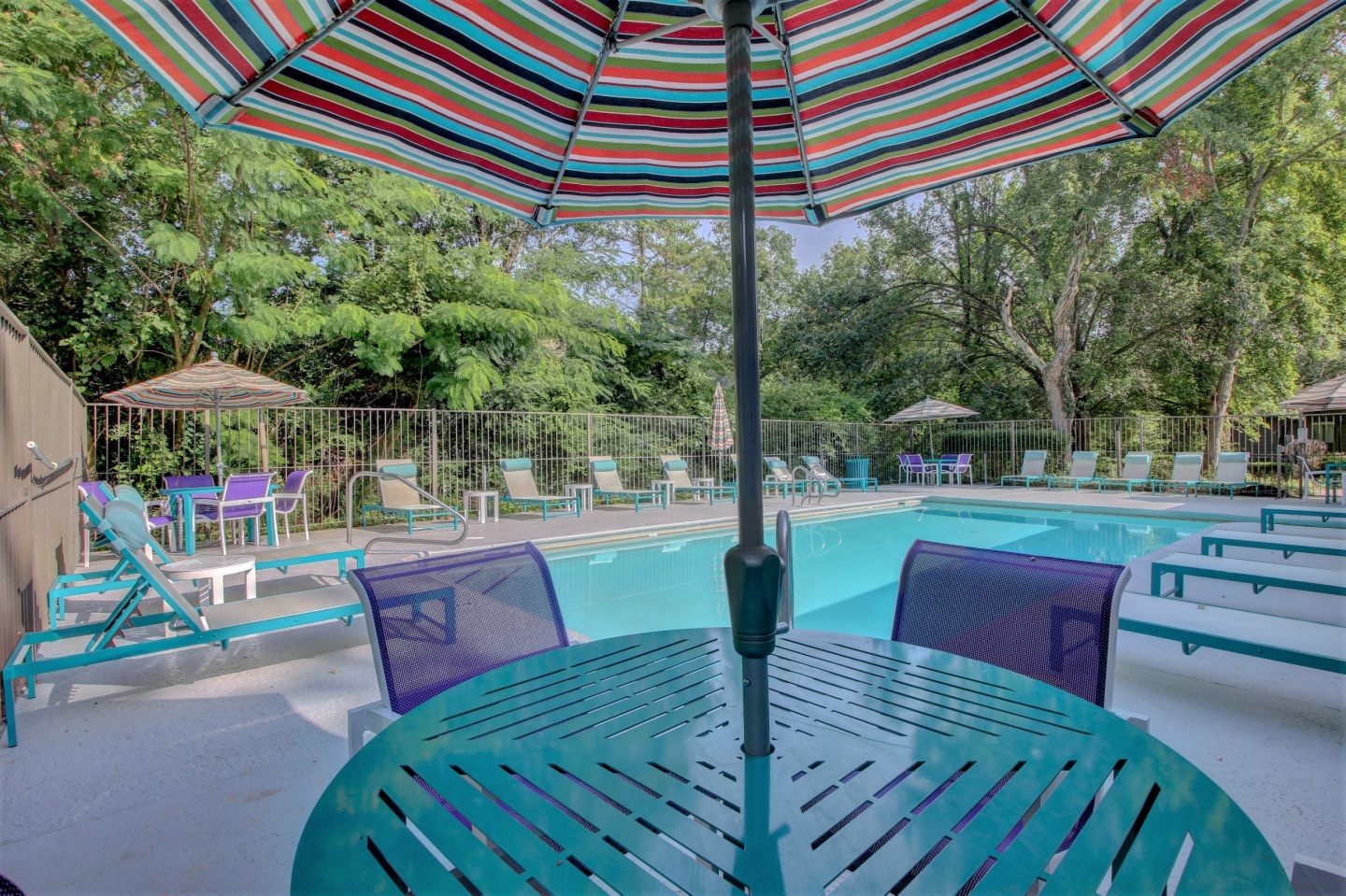 Muse Apartments Image 6