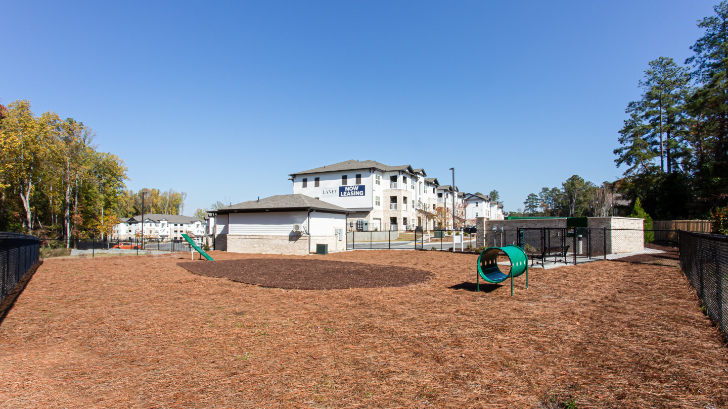 The Laney Image 9
