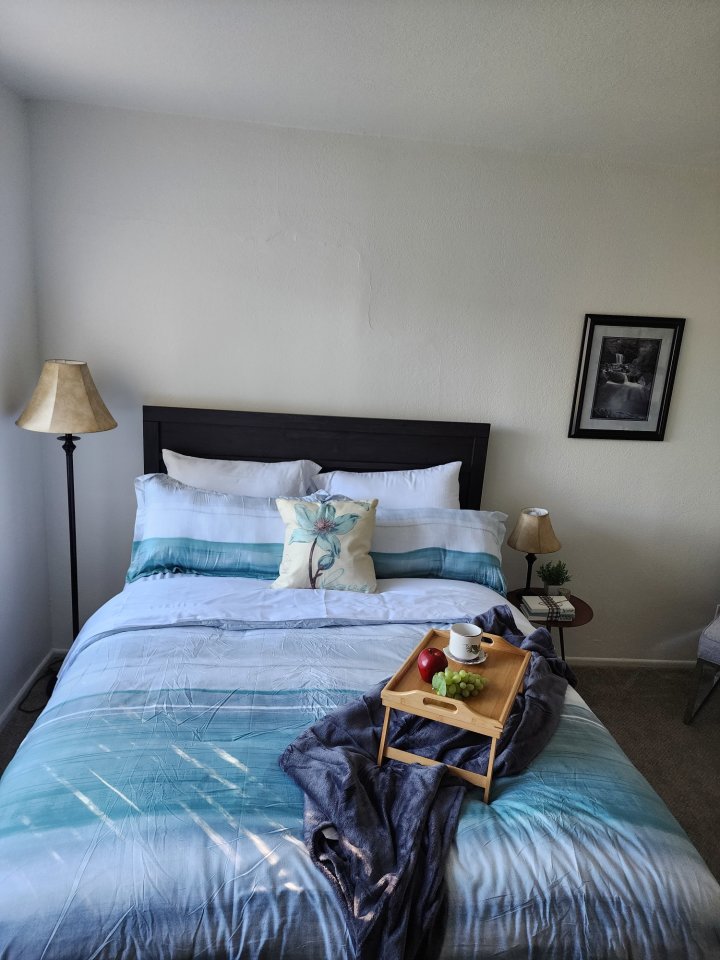 The Timbers Apartments Image 13