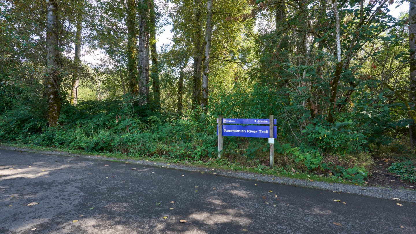 Ivorywood Image 45