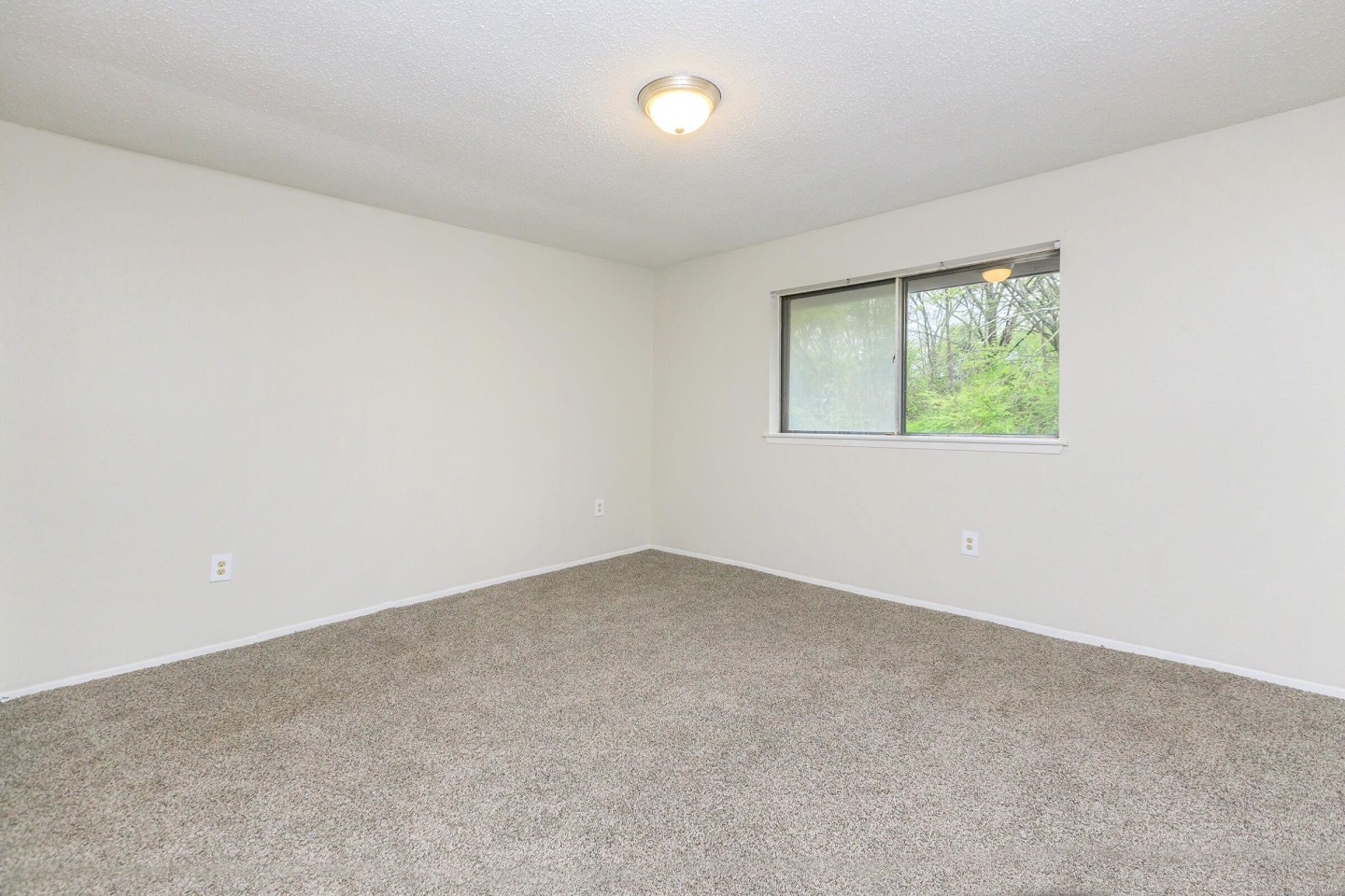 Emerald Ridge Apartments Image 4