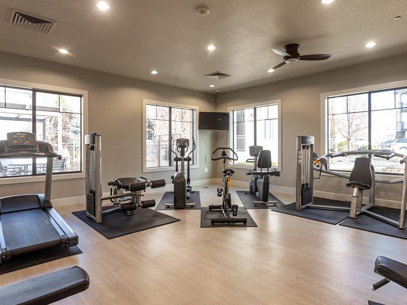 Elevation Luxury Apartments Image 21