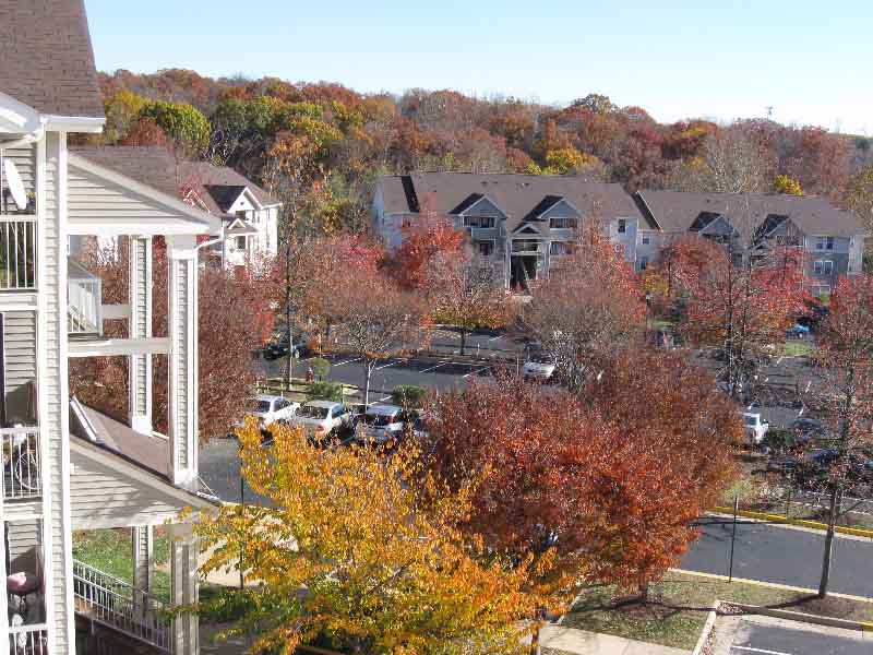 Affordable Housing - Lee Overlook Image 5