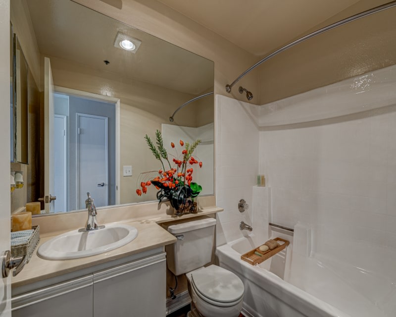 Palm Court Apartments Image 15