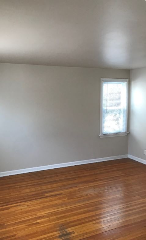 844 Richmond Ave Image 4