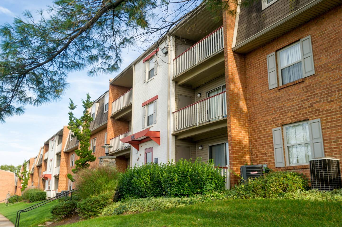 Summer Ridge Image 21