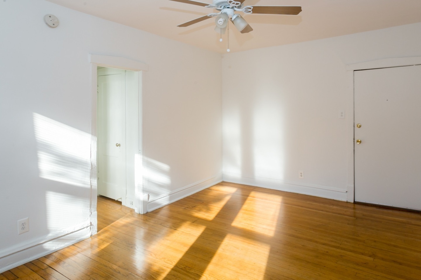 Ellis Court Image 13