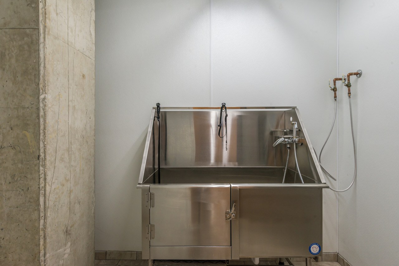 Student Housing - Latitude Image 10