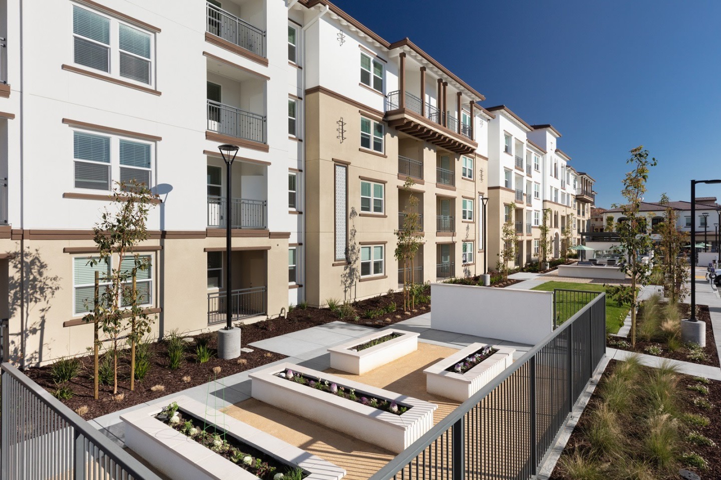Senior Housing- Palmia, Age 55+ Luxury Apartments Image 49