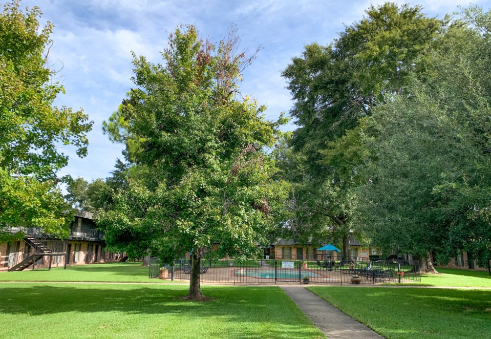 Chateau Apartments Image 14