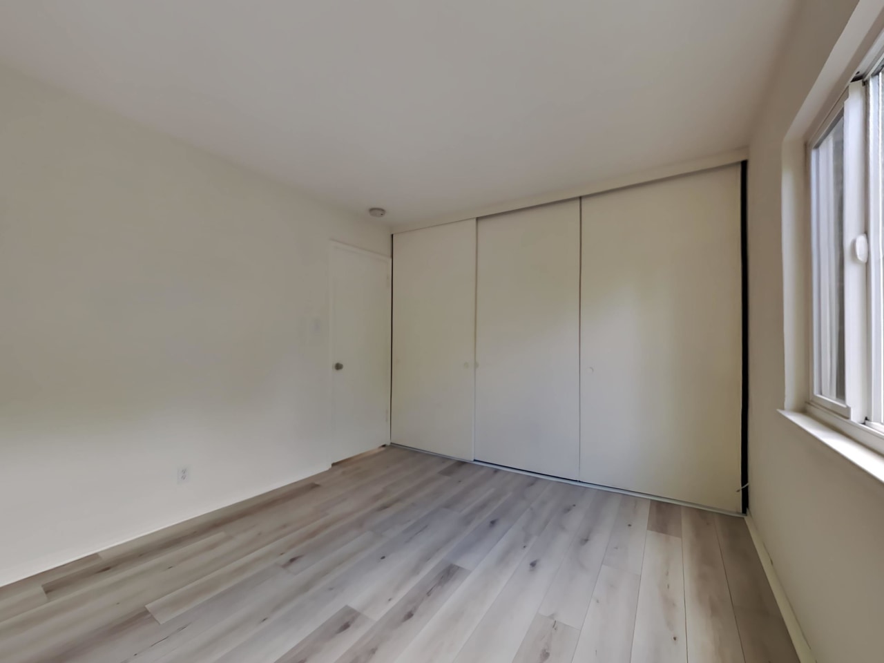 791 Kingston Avenue Image 5