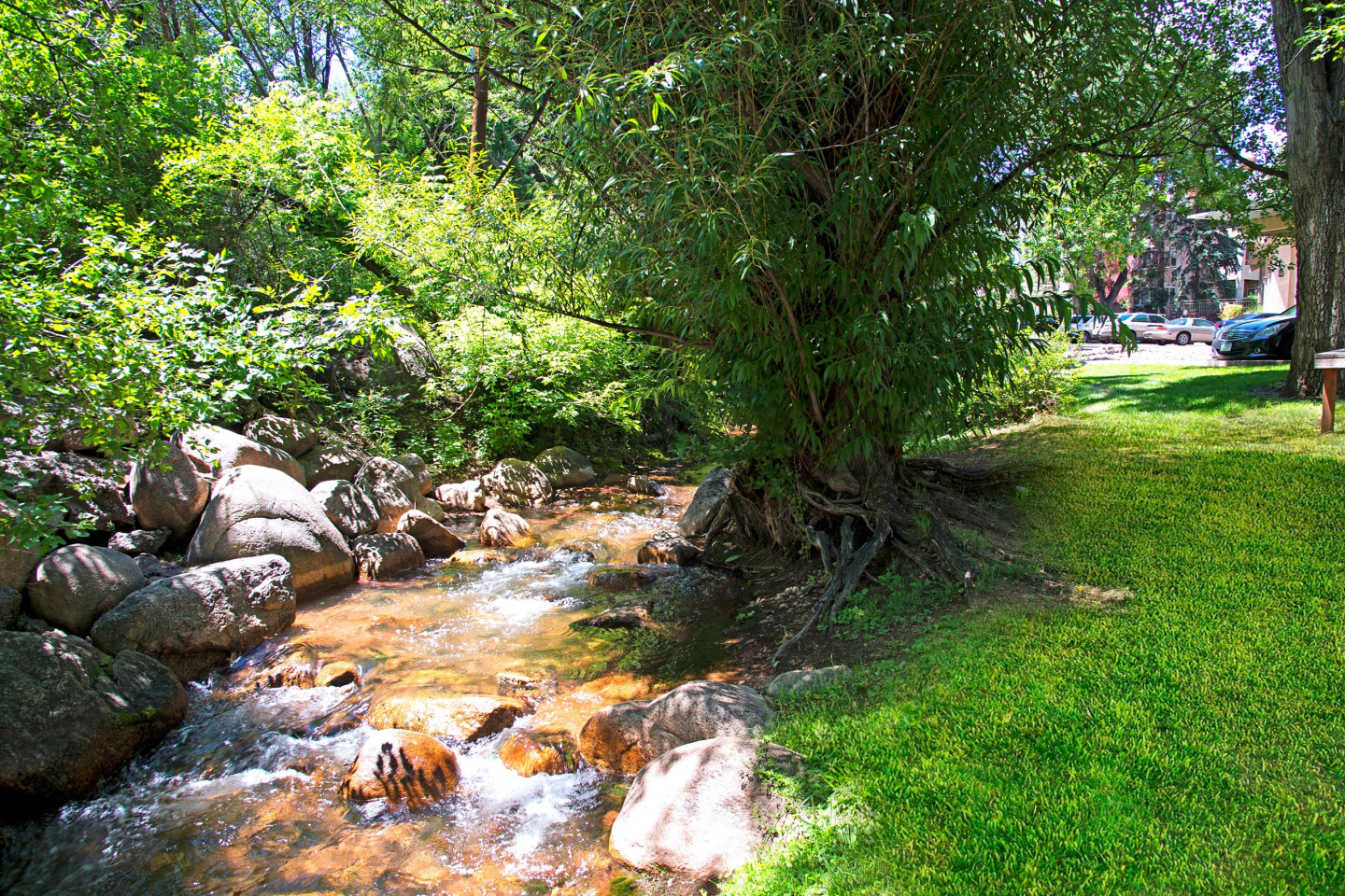 Cheyenne Creek Image 19