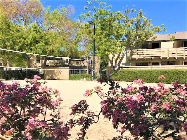 Newport Village Image 8