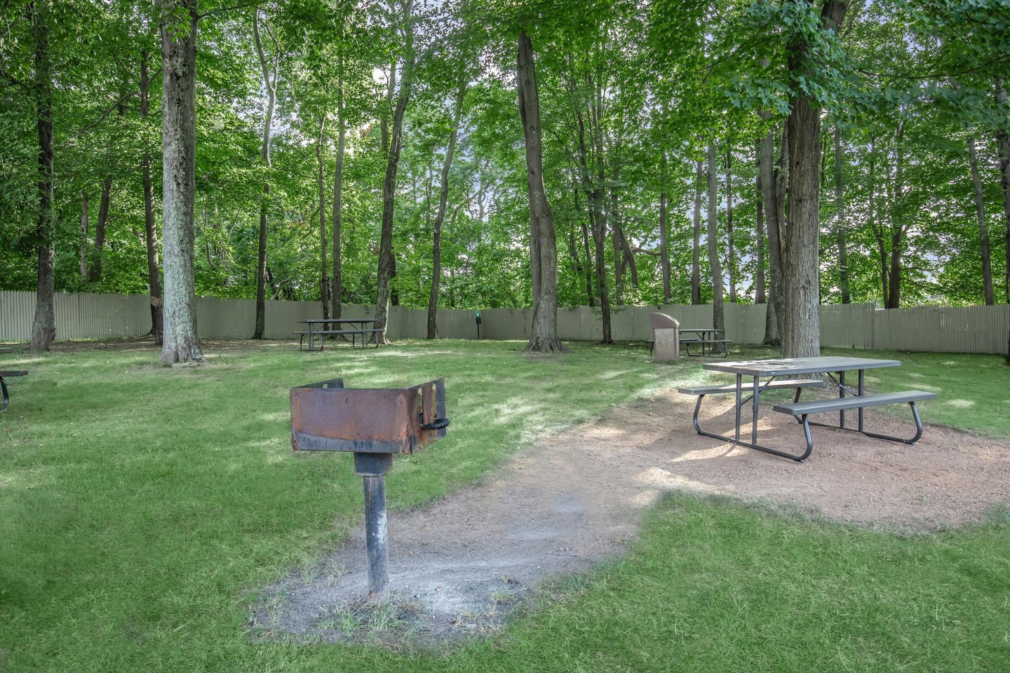 Forest Park Apartments Image 12