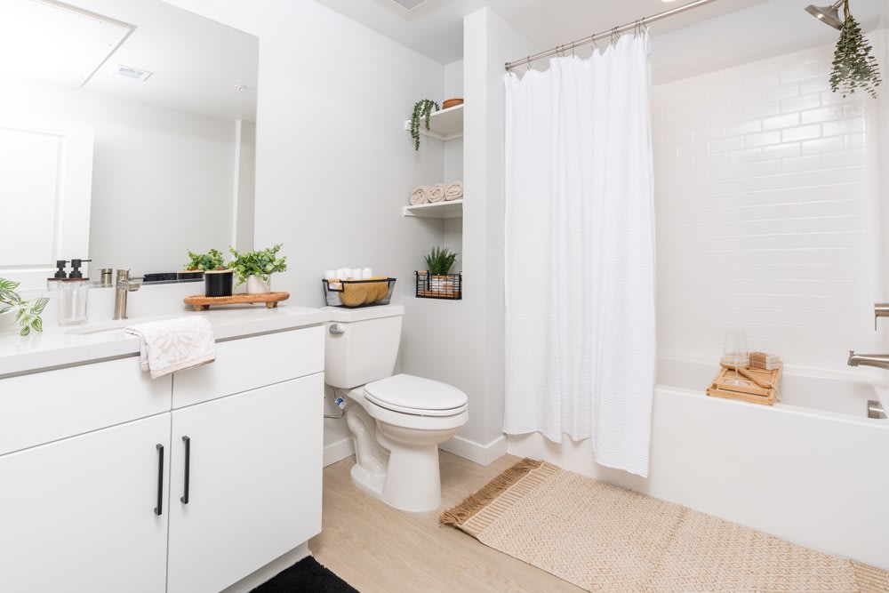 Downtown Ontario Luxury Apartments Image 8