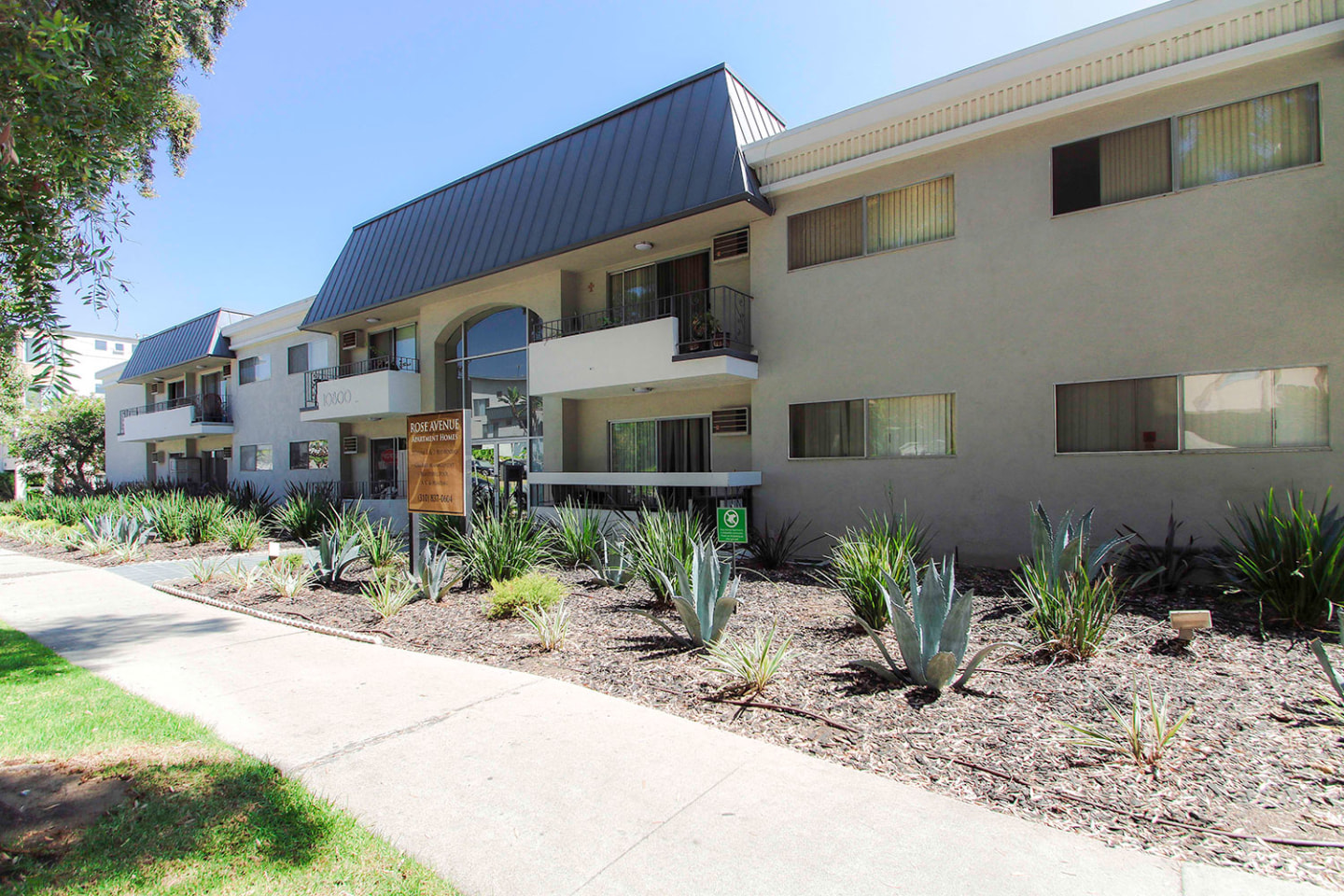 Rose Avenue Image 12