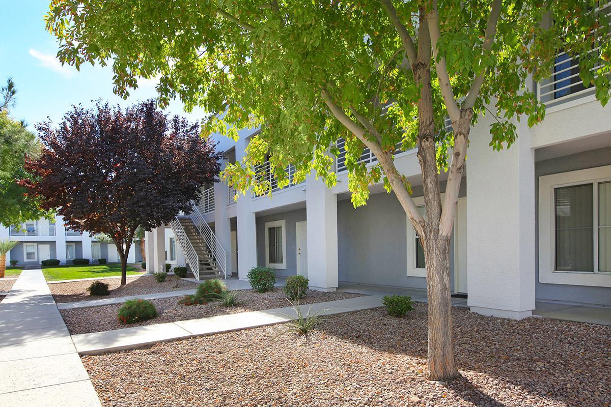 Desert Meadows Image 31