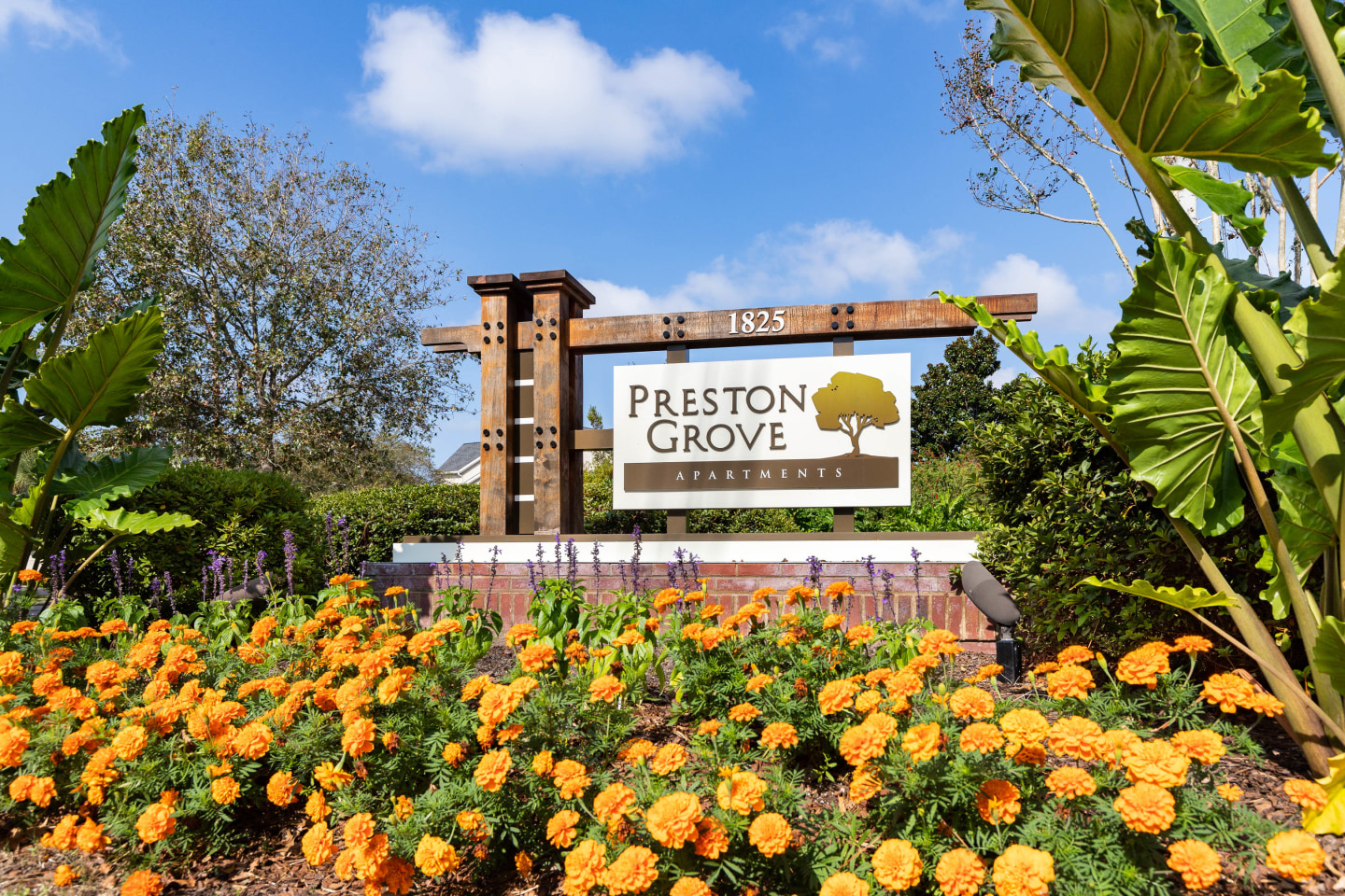 Preston Grove Image 21