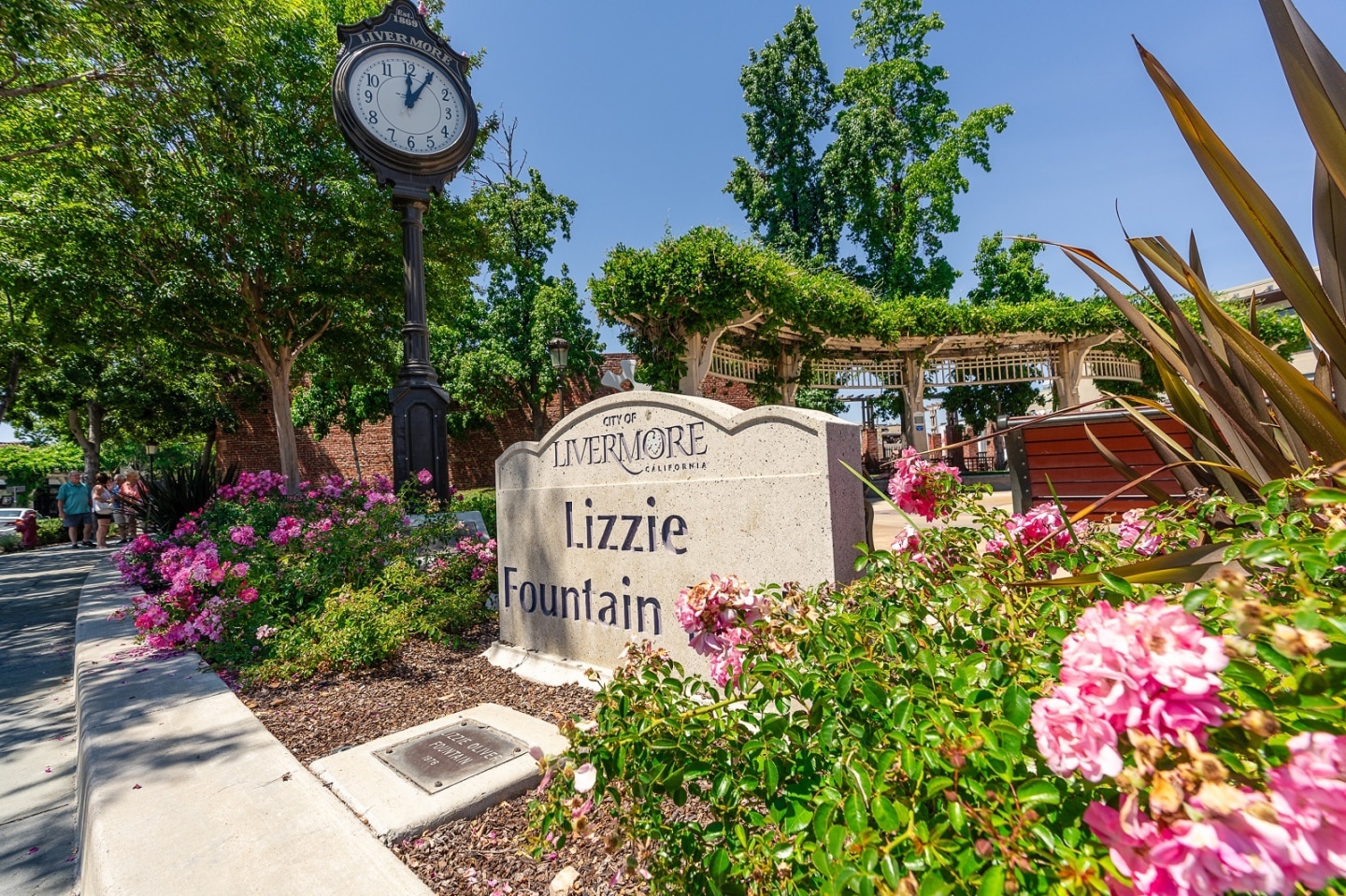 Legacy at Livermore Image 15