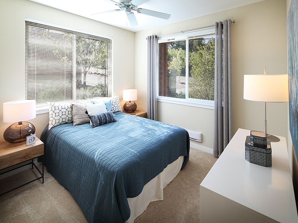 Avalon Alderwood Image 19